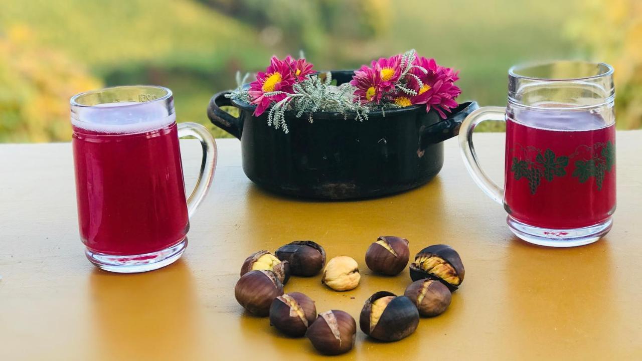 شقة Steirer Haus غامليتز المظهر الخارجي الصورة